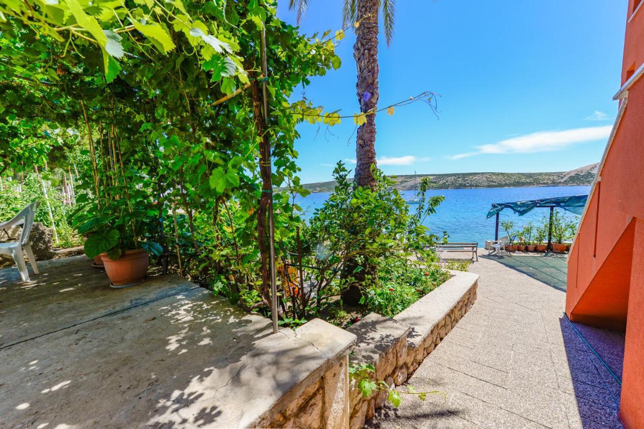 Apartments Amfora - Cozy And Modern Apartments For Up To 15 People, 100M From The Sea And Beach Стара-Новаля Экстерьер фото